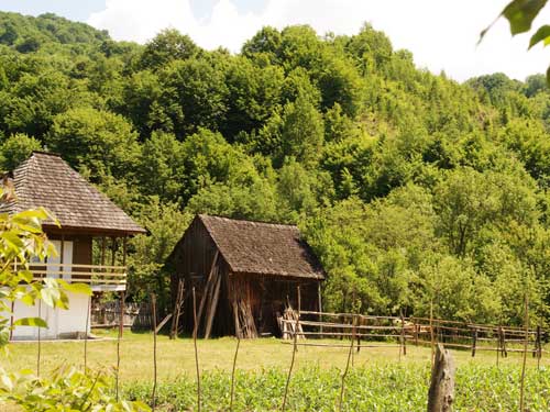 Foto Un colt de liniste in Poiana Botizei (c) Petru Goja